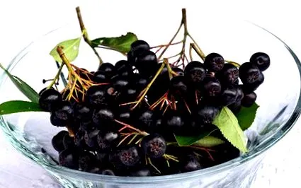 aronia