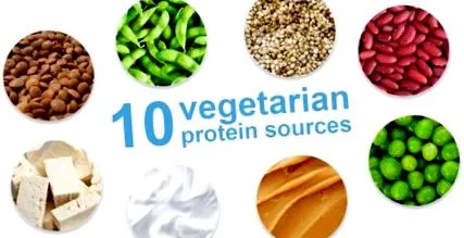 vegetáriánus