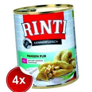 kutya