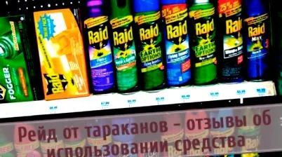 raid
