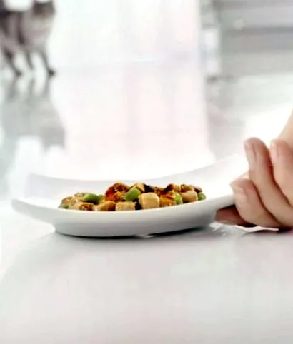 purina purina