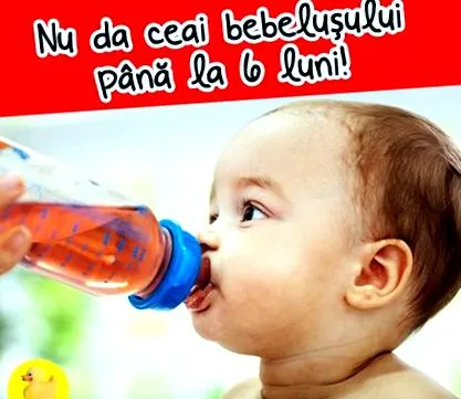 csecsemőknek
