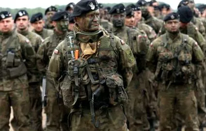 nato reakciója