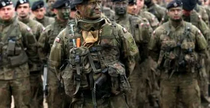 nato reakciója
