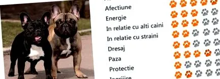 раса француски