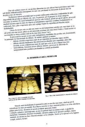 alma elkészítése