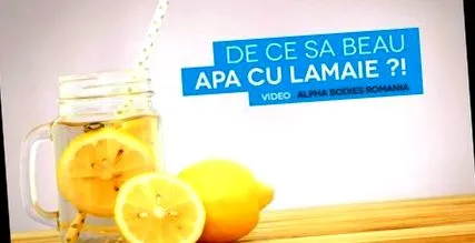 használati utasítás