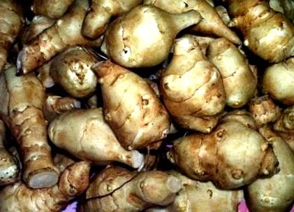 csicsóka