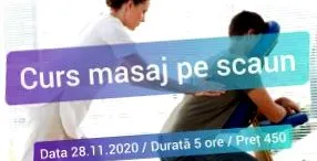 szerzője