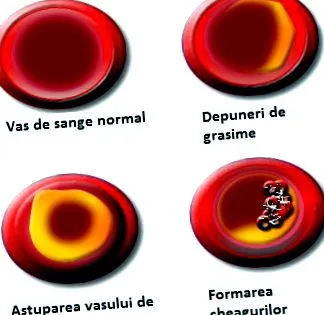 fogyasztásának