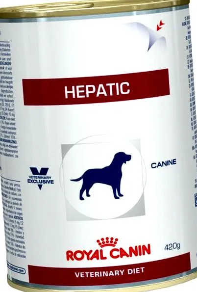 hepatic