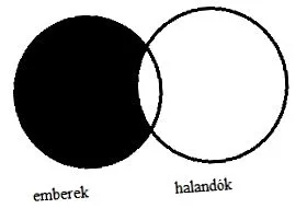 quodlibet каменями