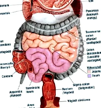 ядене духовно