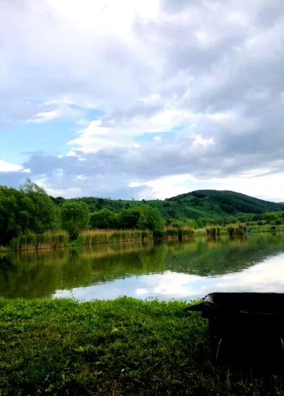 расок насінням