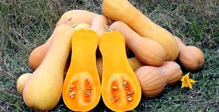 отслабнете можете