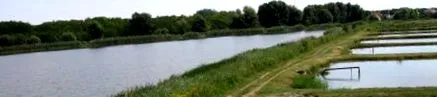 baja рецепта