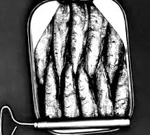 sardinky