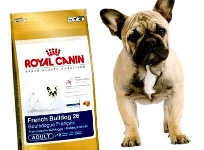 kell bulldoggal