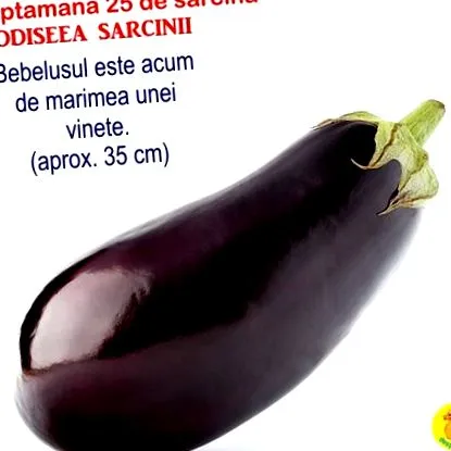 седмица 25-та