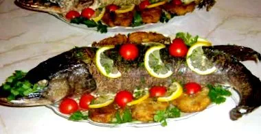 tippek