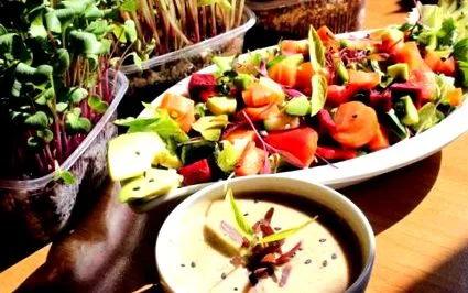 microgreens táplálkozási