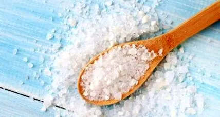 шанка шанка