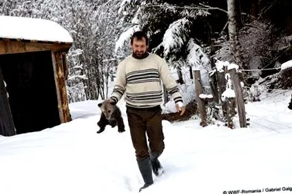 rehabilitációjának