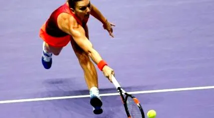 következő halep