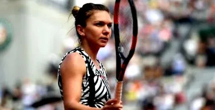 felkapaszkodott halep
