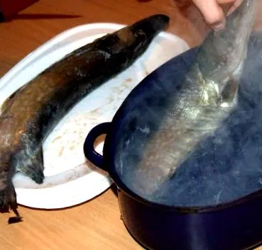 готвење штука