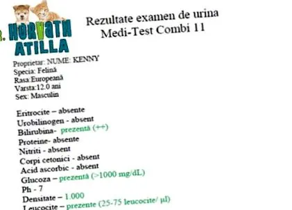 кенні