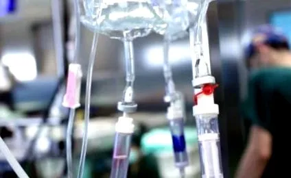 intézet vizsgálata