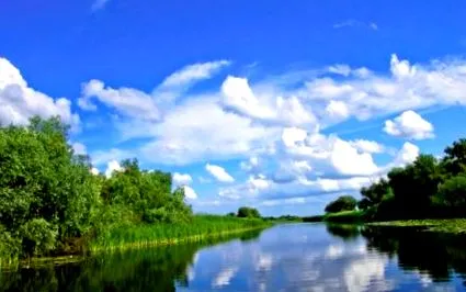 РОМАНСКА ТРАДИЦИЈА