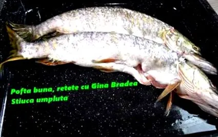 régi töltött