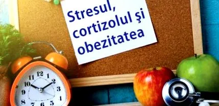 ваша