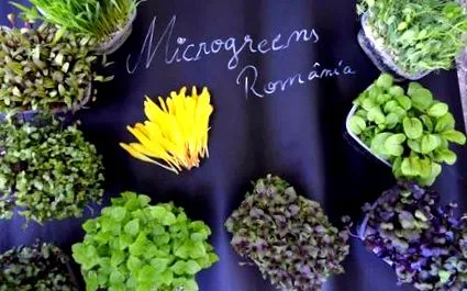 проста рецепта
