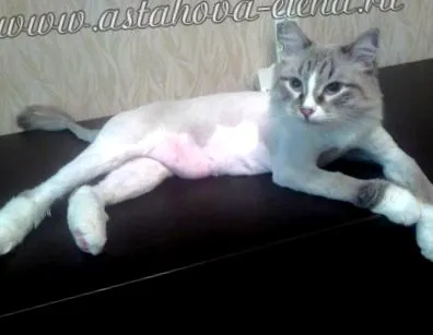 подстригване коса