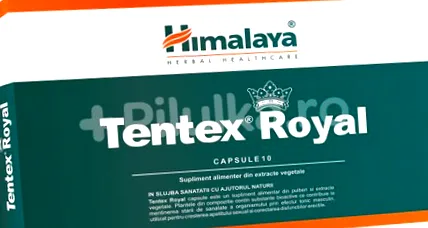 Tentex Royal