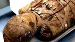 különböző