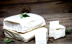 tofu Alphega Gyógyszertár
