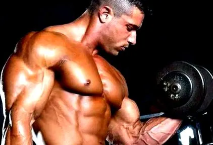 mesomorph mesomorph