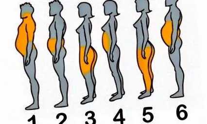testzsír tőlük