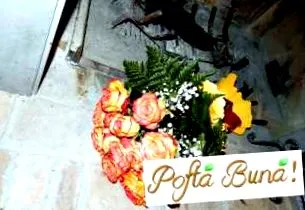 брадеа рецепти