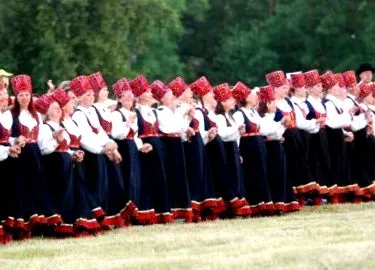 felnőtt lakosság lakosság elhízott