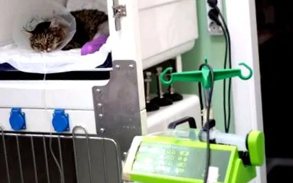 sterilizálásával minden