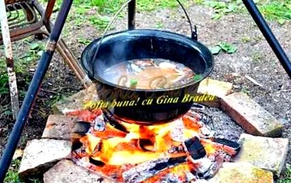 amelyet recept