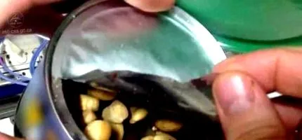 дава даваат енергија