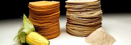 tortilla