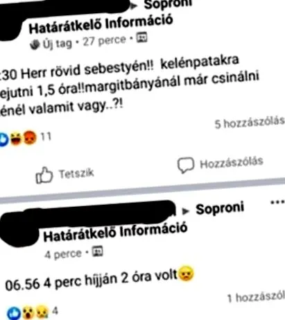 căutare pentru