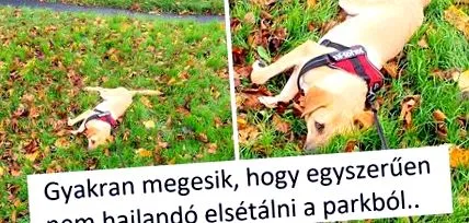 всичко своите скучно